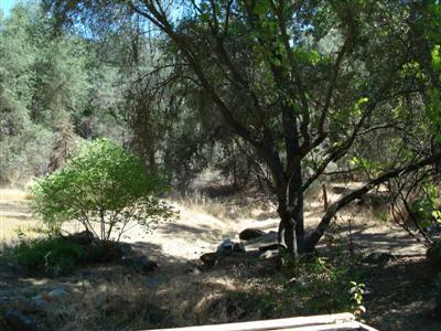 33661 Sycamore Road Tollhouse, CA 93667 - Photo 11 of 24 Gallery Image 11