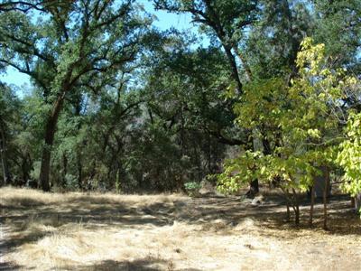 33661 Sycamore Road Tollhouse, CA 93667 - Photo 13 of 24 Gallery Image 13
