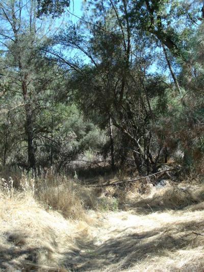 33661 Sycamore Road Tollhouse, CA 93667 - Photo 15 of 24 Gallery Image 15