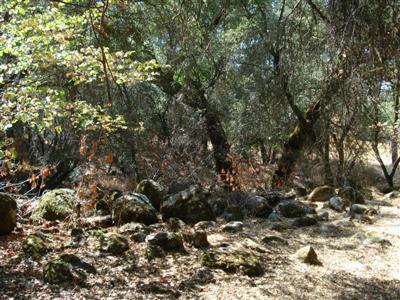 33661 Sycamore Road Tollhouse, CA 93667 - Photo 17 of 24 Gallery Image 17