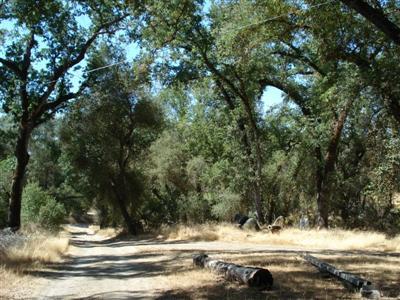 33661 Sycamore Road Tollhouse, CA 93667 - Photo 18 of 24 Gallery Image 18