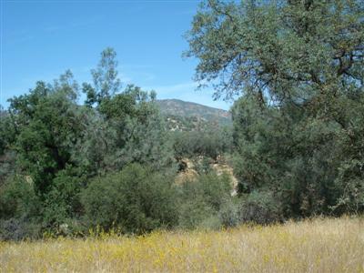 33661 Sycamore Road Tollhouse, CA 93667 - Photo 23 of 24 Gallery Image 23