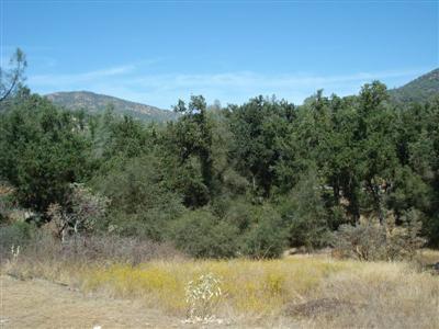 33661 Sycamore Road Tollhouse, CA 93667 - Photo 24 of 24 Gallery Image 24