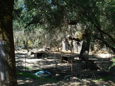 33661 Sycamore Road Tollhouse, CA 93667 - Photo 9 of 24 Gallery Image 9