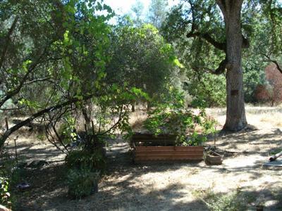 33661 Sycamore Road Tollhouse, CA 93667 - Photo 10 of 24 Gallery Image 10