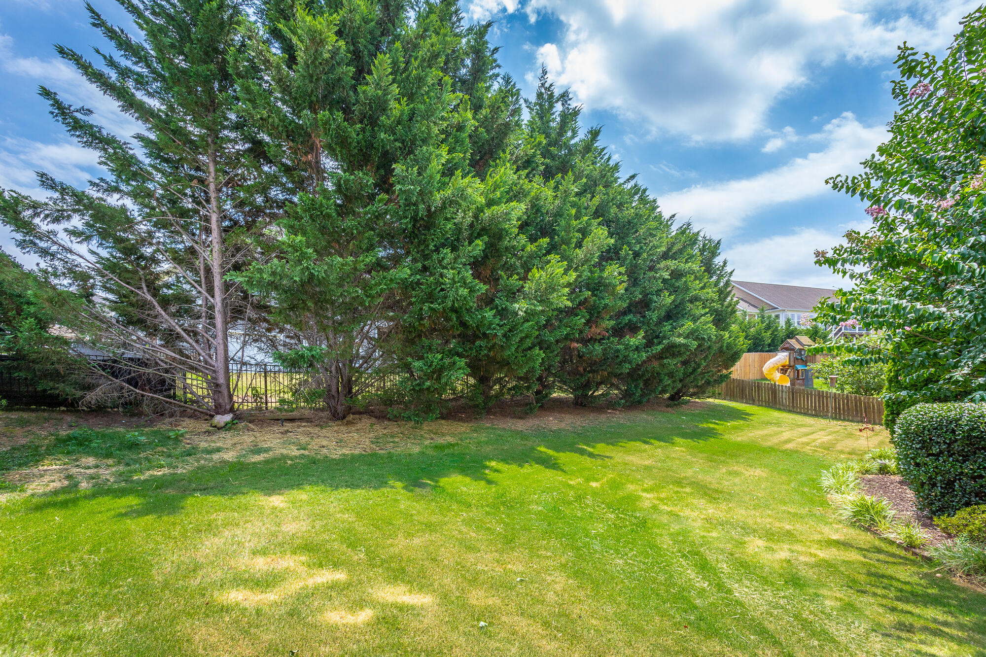 298 Live Oak Road Ringgold, GA 30736 - Photo 37 of 38 Back Yard