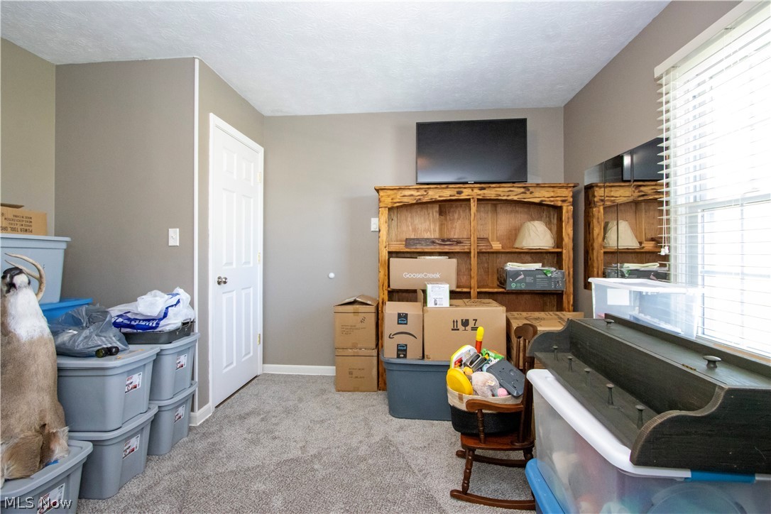 4990 Chippewa Road Medina, OH 44256 - Photo 19 of 42 Gallery Image 19