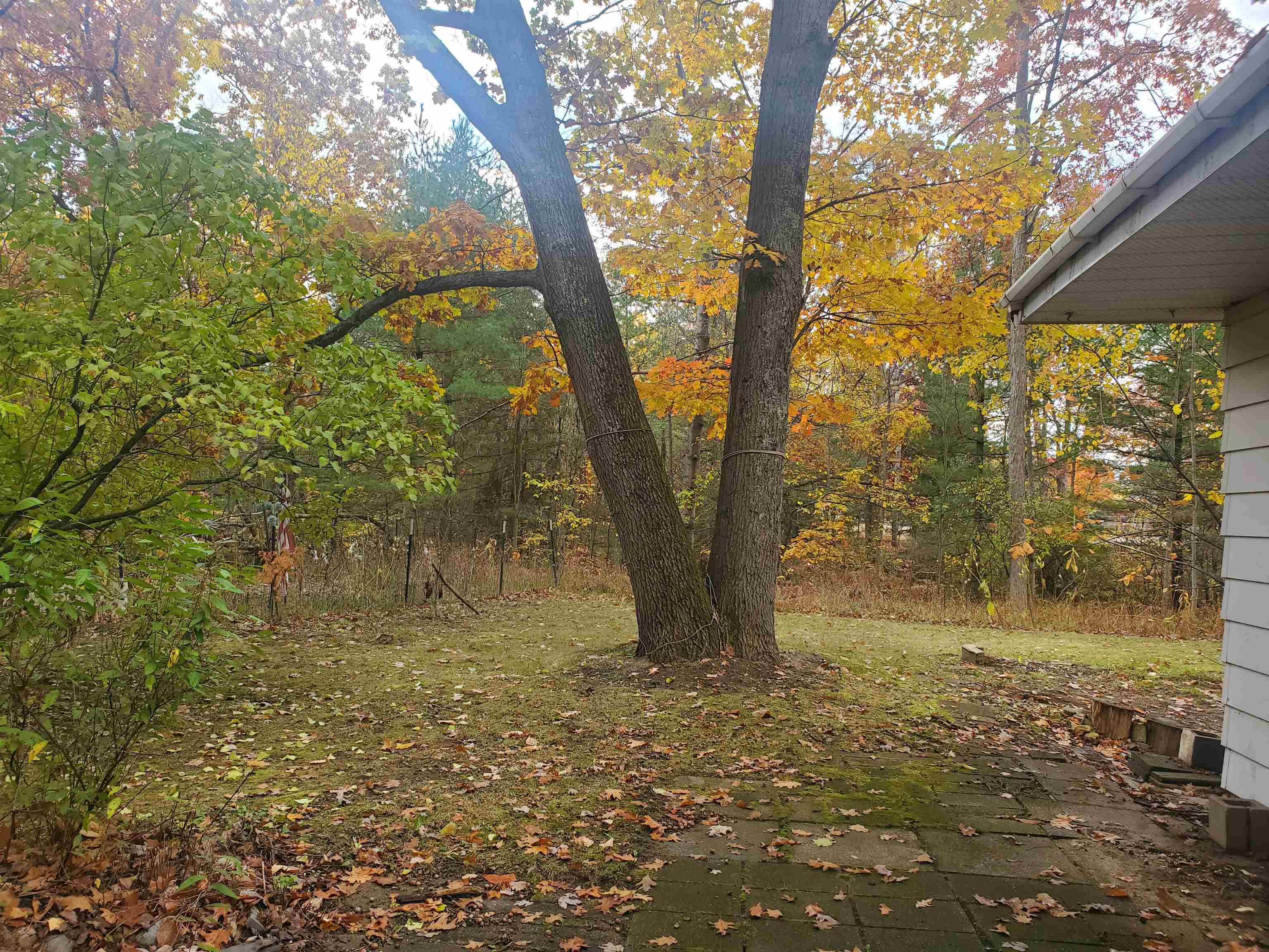 7323 Karlin Road Interlochen, MI 49643 - Photo 24 of 31