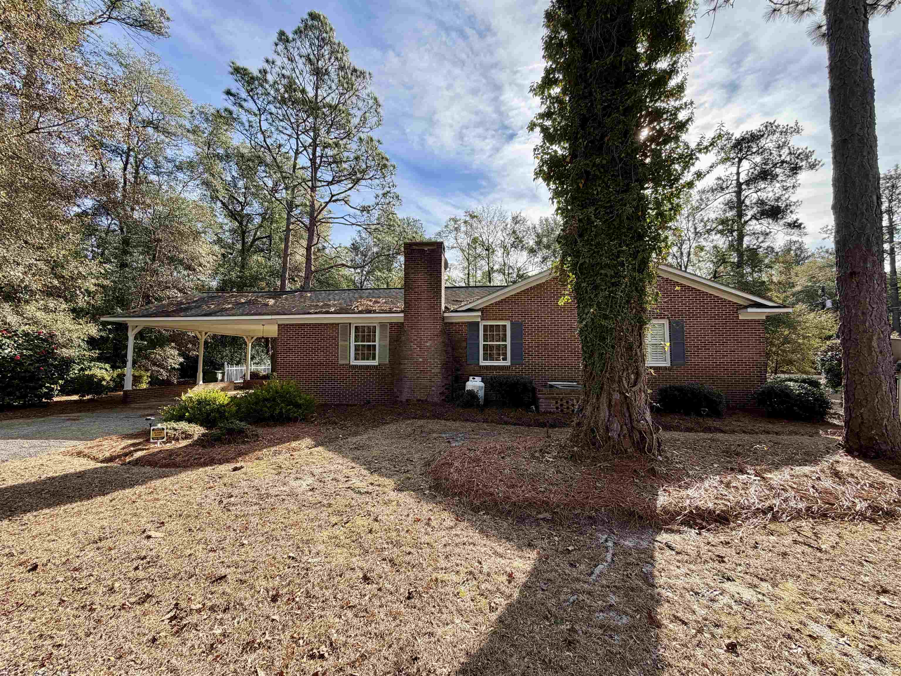 502 Burney Street Nichols, SC 29581 - Photo 30 of 30