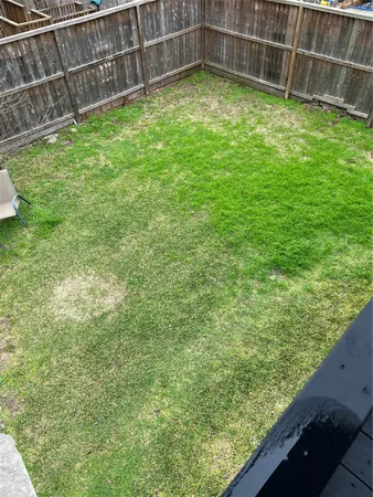 a view of a back yard
