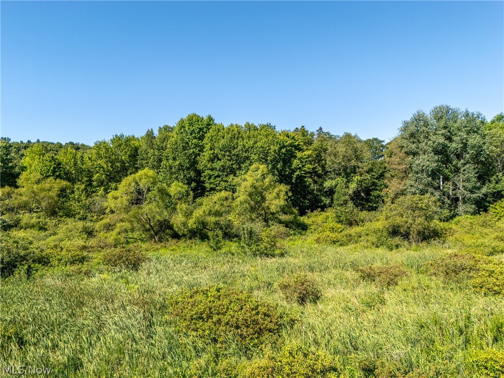 West Egypt Road Minerva, OH 44657 - Photo 10 of 16 Gallery Image 10
