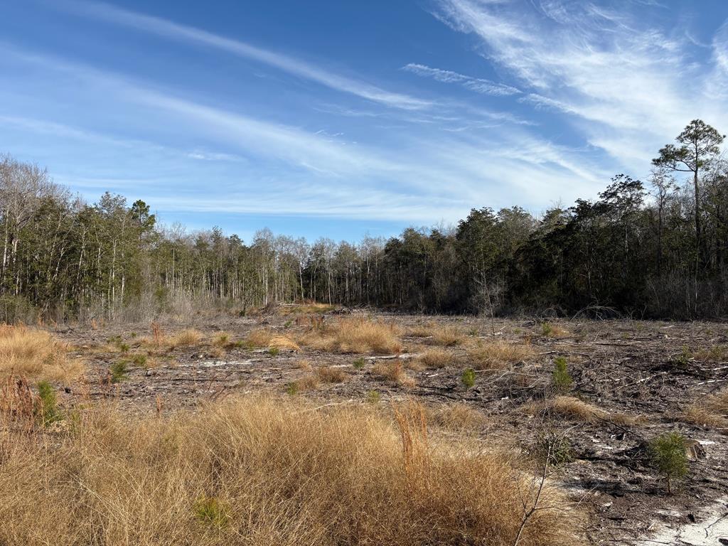 87 Highway 87 Samson, AL 36477 - Photo 26 of 47