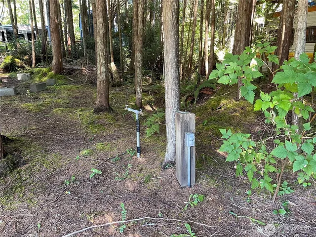 a backyard of a house with lots of green space