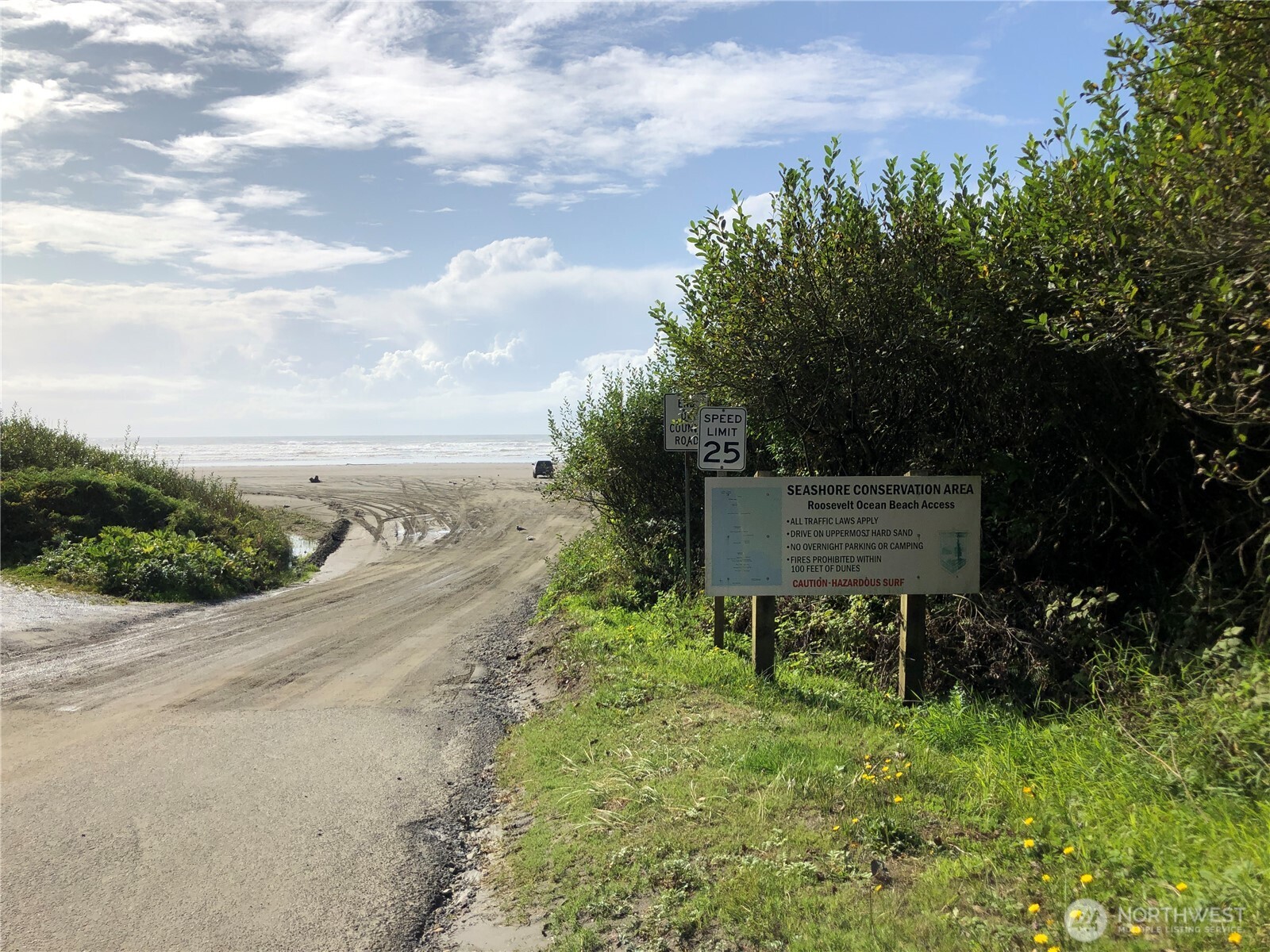 55 Paradise Lane Pacific Beach, WA 98571 - Photo 36 of 36 a garden with trees in front of it