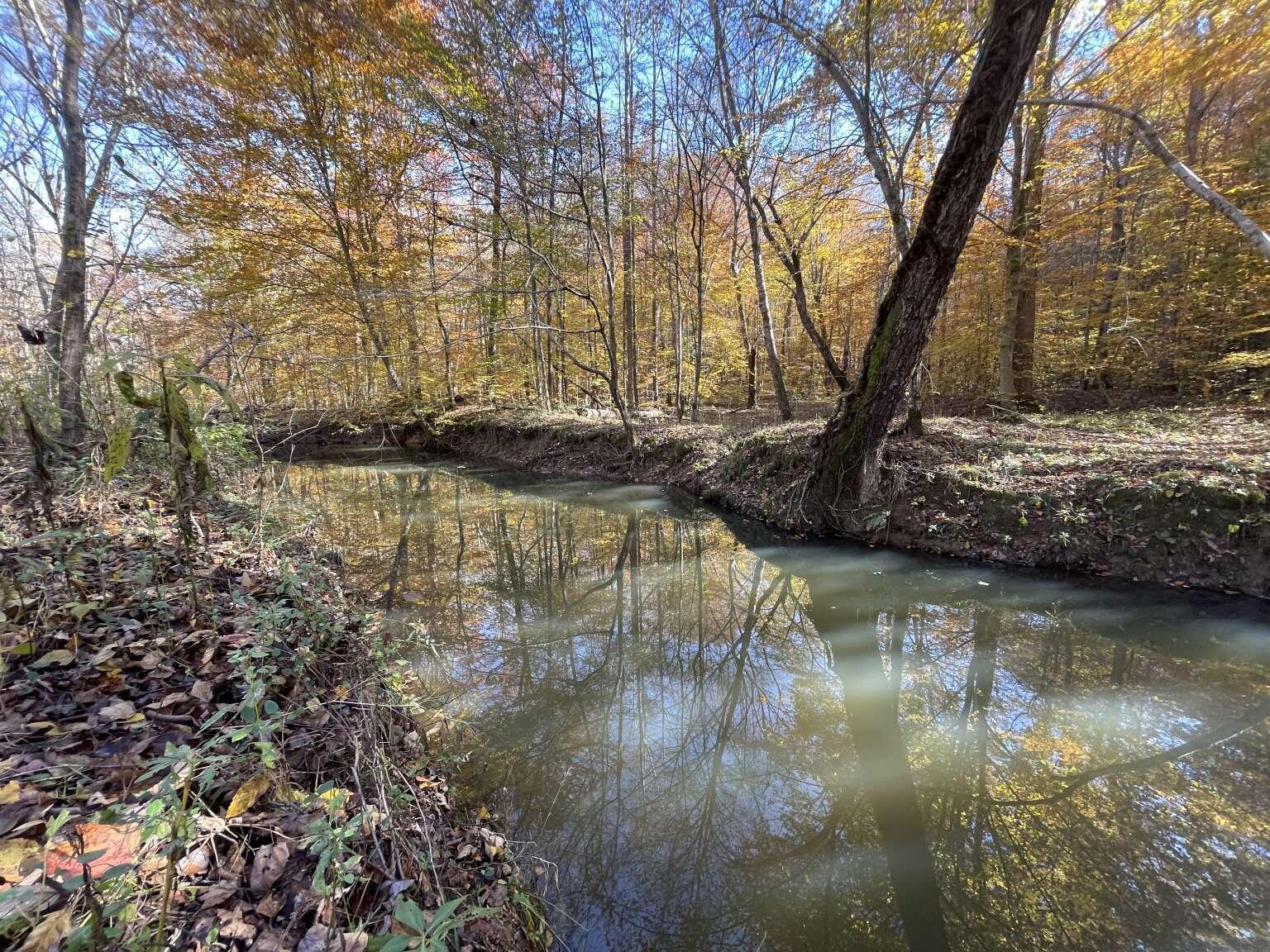 1235 Westerfield Road London, KY 40744 - Photo 1 of 13 Girdler.1
