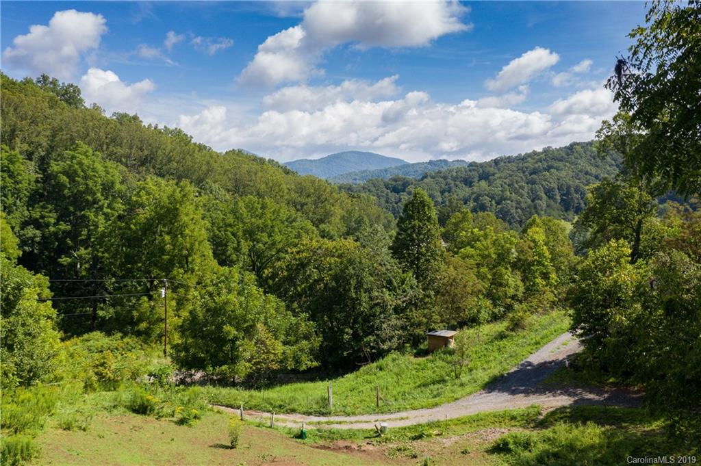 125 Sandy Branch Road Canton, NC 28716 - Photo 1 of 31