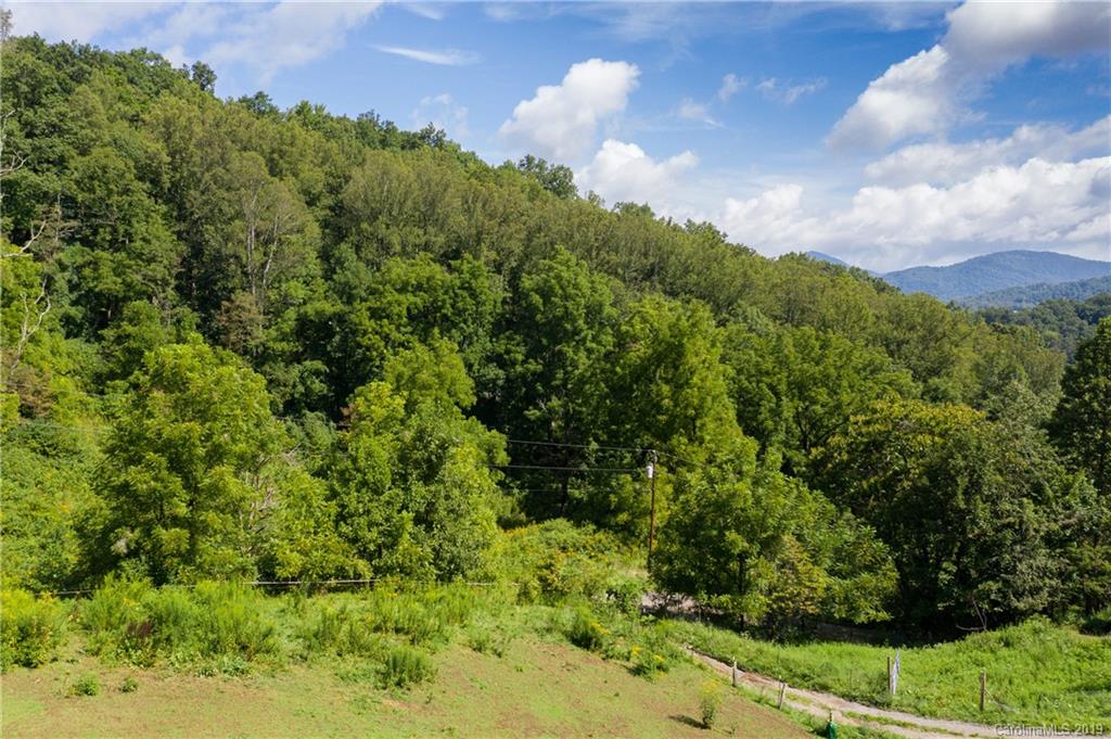 125 Sandy Branch Road Canton, NC 28716 - Photo 15 of 31