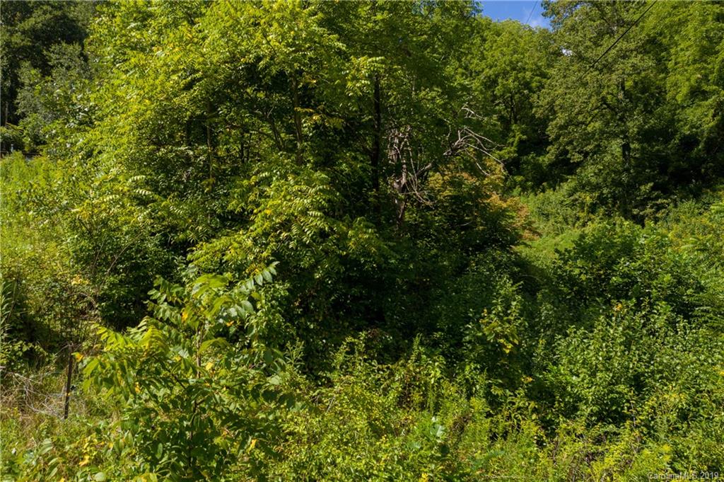 125 Sandy Branch Road Canton, NC 28716 - Photo 16 of 31