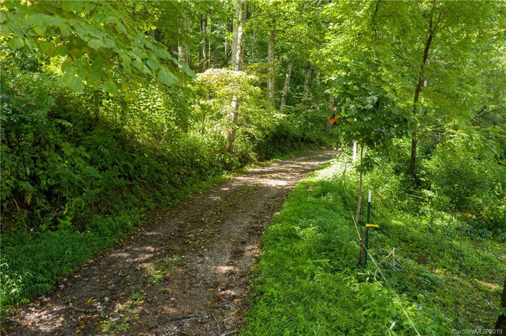 125 Sandy Branch Road Canton, NC 28716 - Photo 19 of 31
