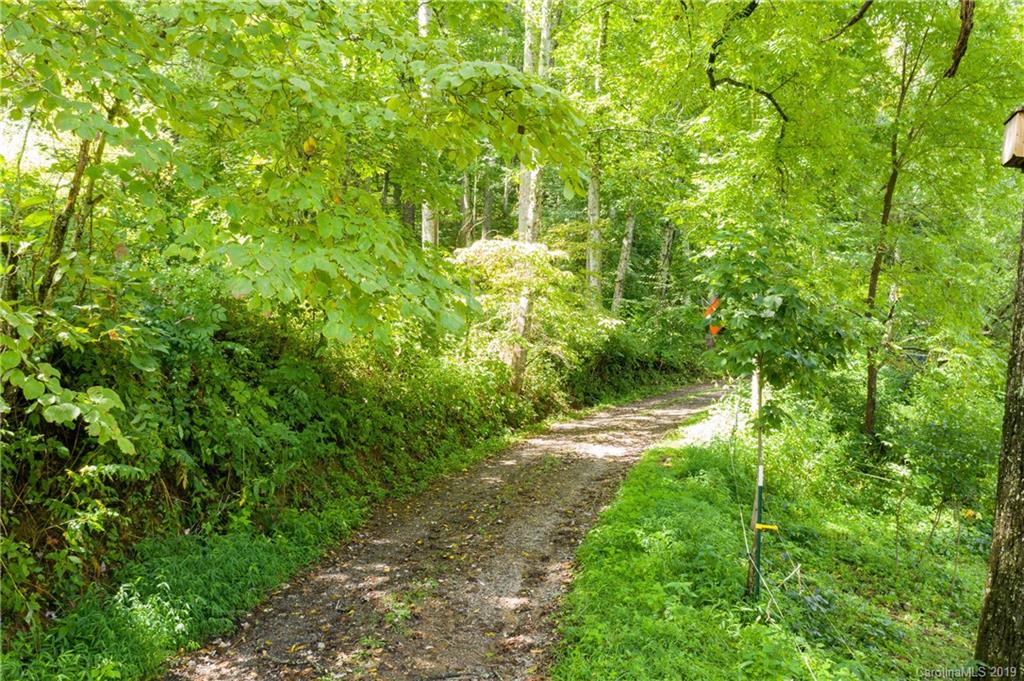 125 Sandy Branch Road Canton, NC 28716 - Photo 20 of 31