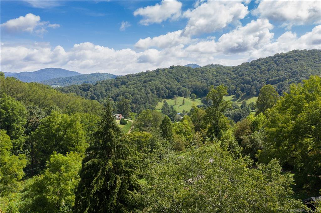 125 Sandy Branch Road Canton, NC 28716 - Photo 22 of 31