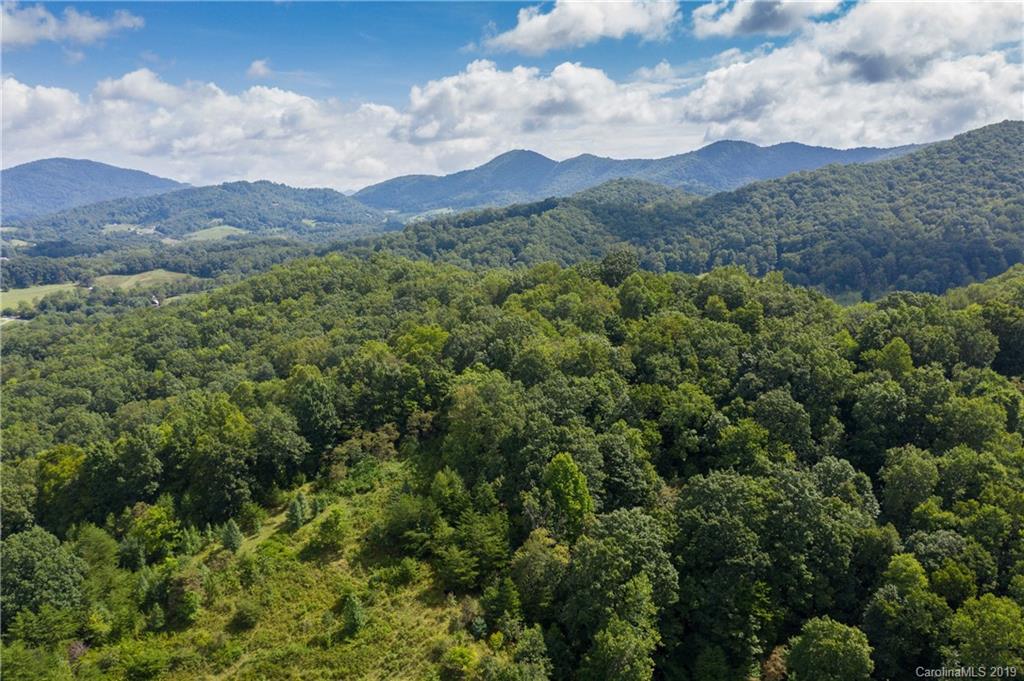 125 Sandy Branch Road Canton, NC 28716 - Photo 25 of 31