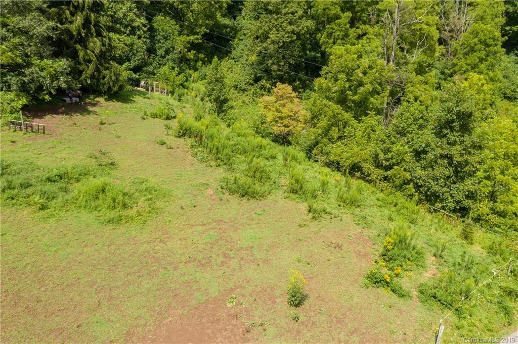 125 Sandy Branch Road Canton, NC 28716 - Photo 29 of 31