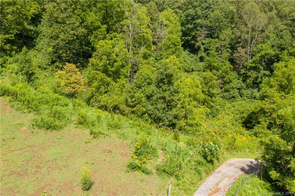 125 Sandy Branch Road Canton, NC 28716 - Photo 30 of 31