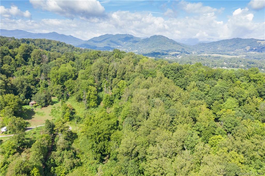 125 Sandy Branch Road Canton, NC 28716 - Photo 6 of 31