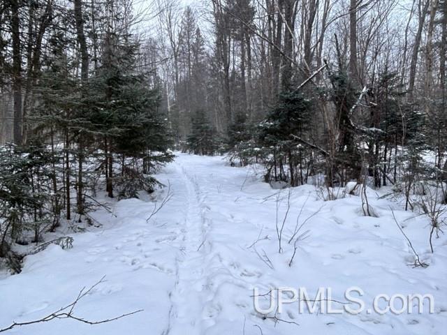 Tbd Rabbit Bay Road Lake Linden, MI 49945 - Photo 1 of 40 Gallery Image 1