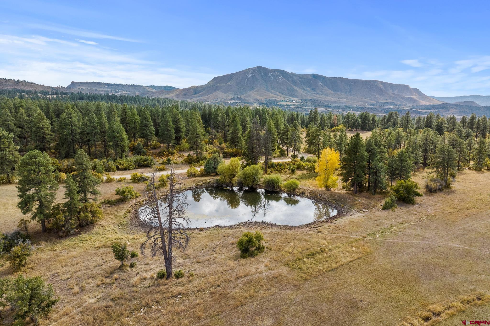 45501 Rd L Mancos, CO 81328 - Photo 40 of 44