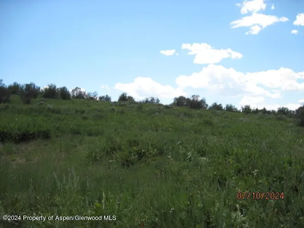a view of a bunch of trees in a field