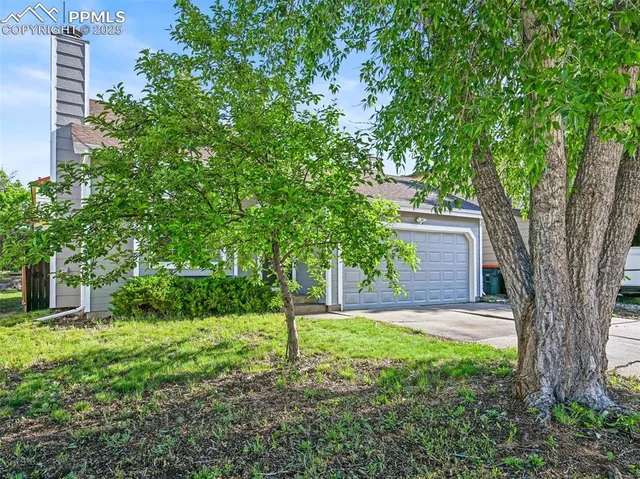 a backyard of a house with lots of plants and large tree