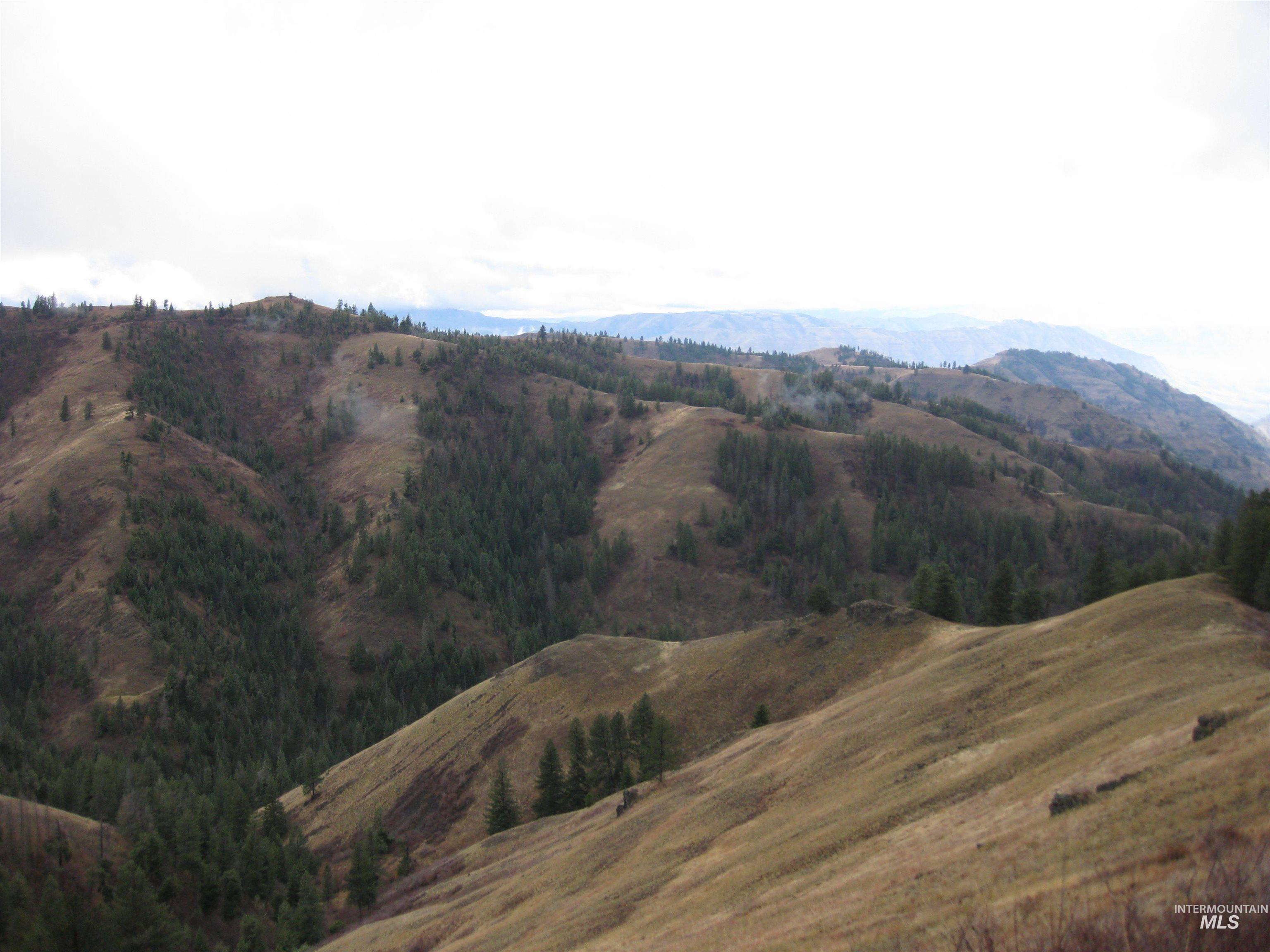 478 Deer Gulch Road Cottonwood, ID 83522 - Photo 12 of 50