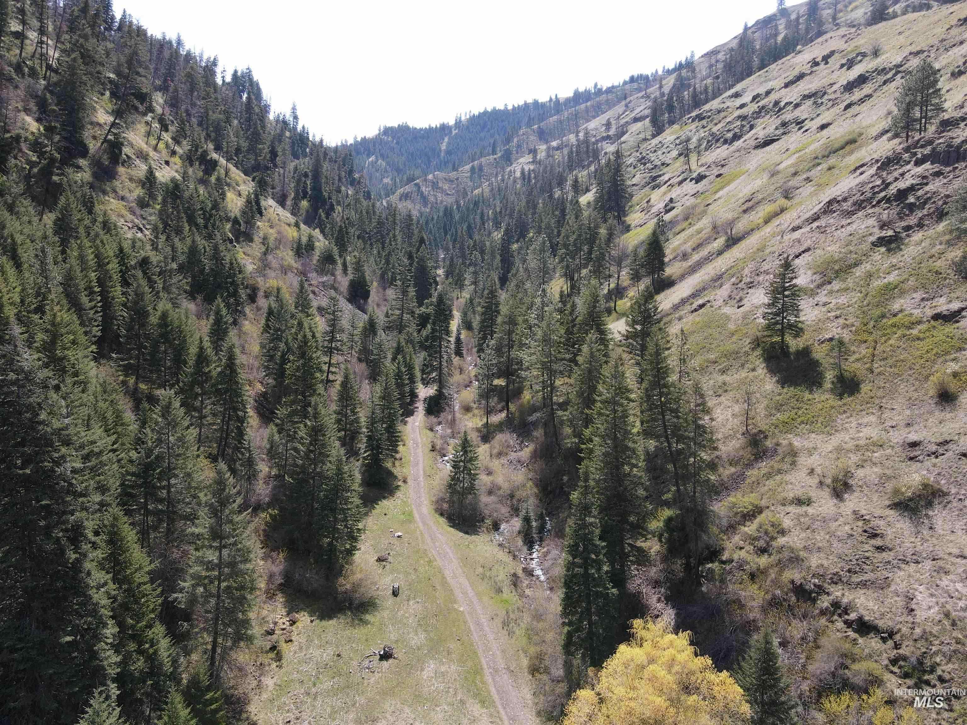 478 Deer Gulch Road Cottonwood, ID 83522 - Photo 13 of 50