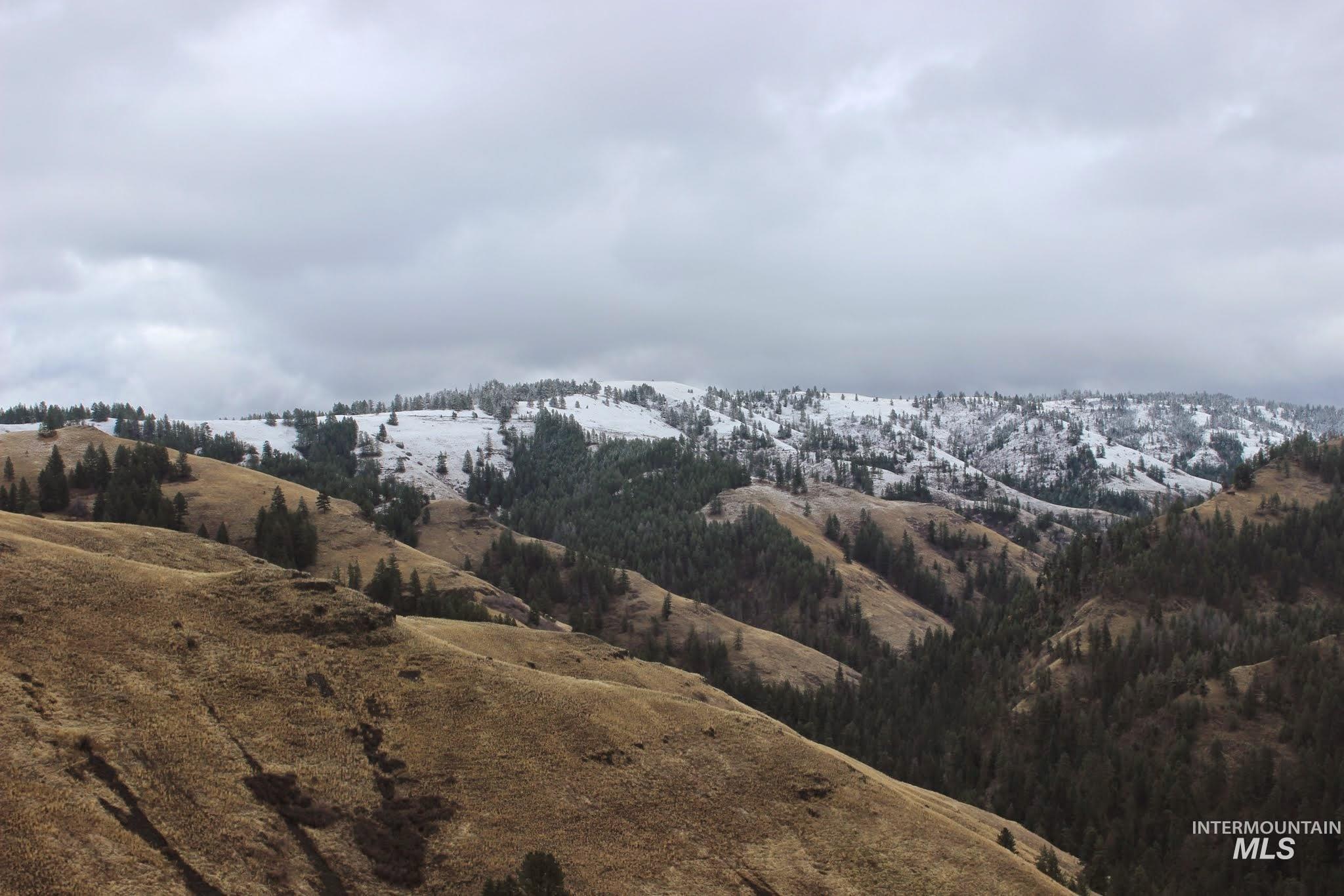 478 Deer Gulch Road Cottonwood, ID 83522 - Photo 14 of 50