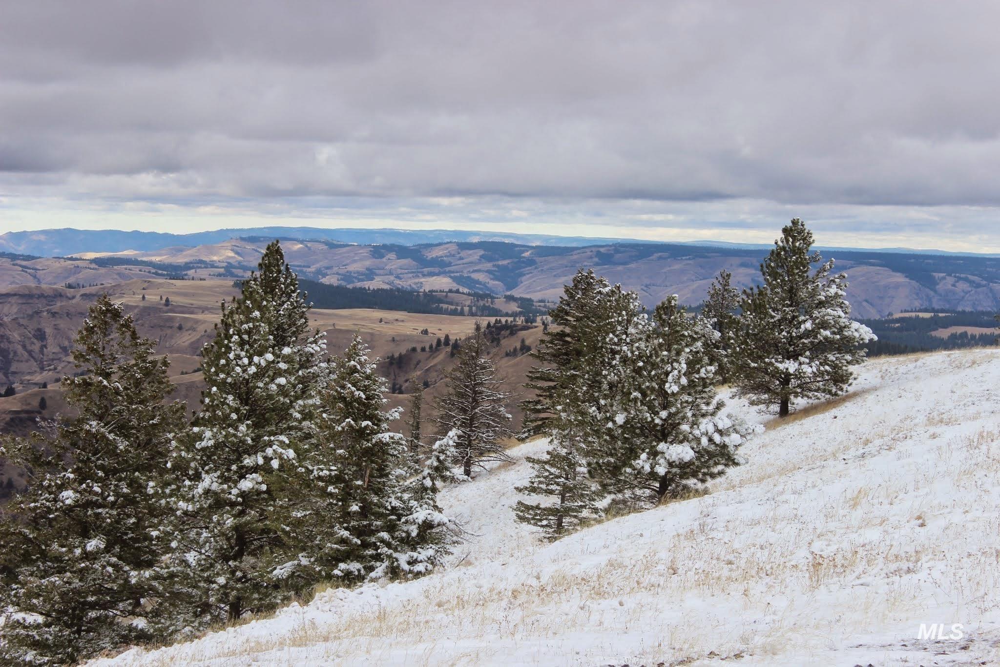 478 Deer Gulch Road Cottonwood, ID 83522 - Photo 15 of 50