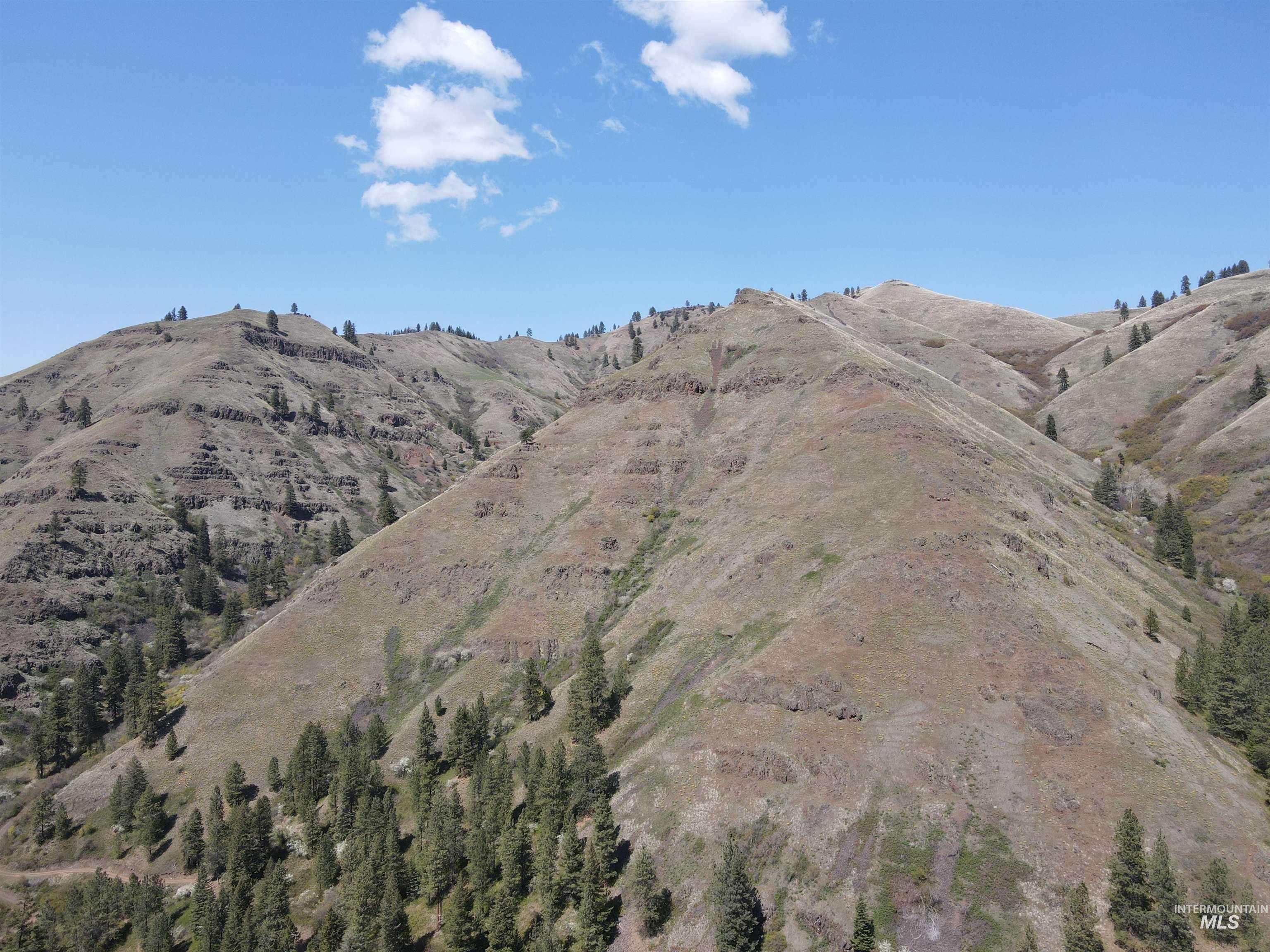478 Deer Gulch Road Cottonwood, ID 83522 - Photo 24 of 50