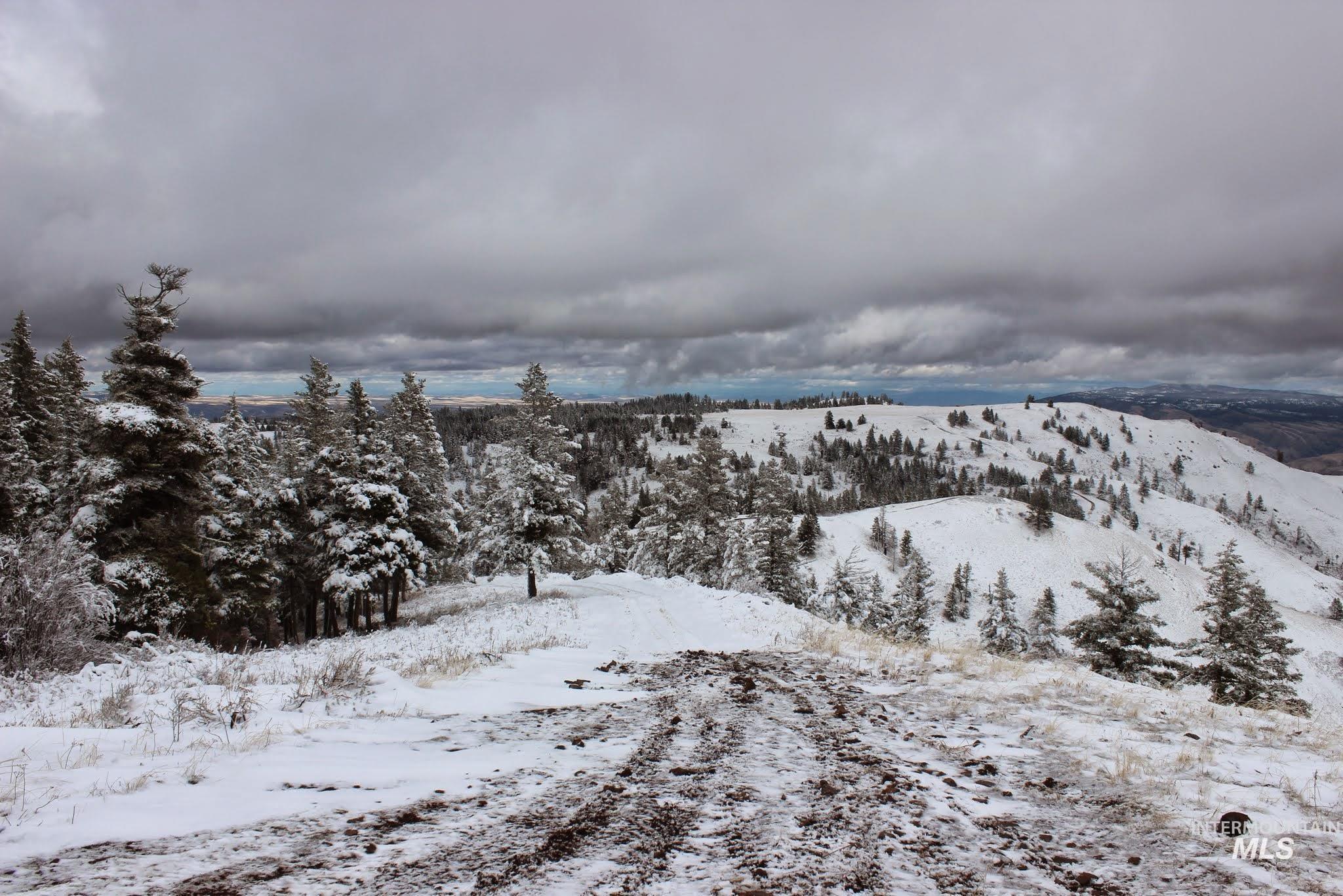 478 Deer Gulch Road Cottonwood, ID 83522 - Photo 3 of 50