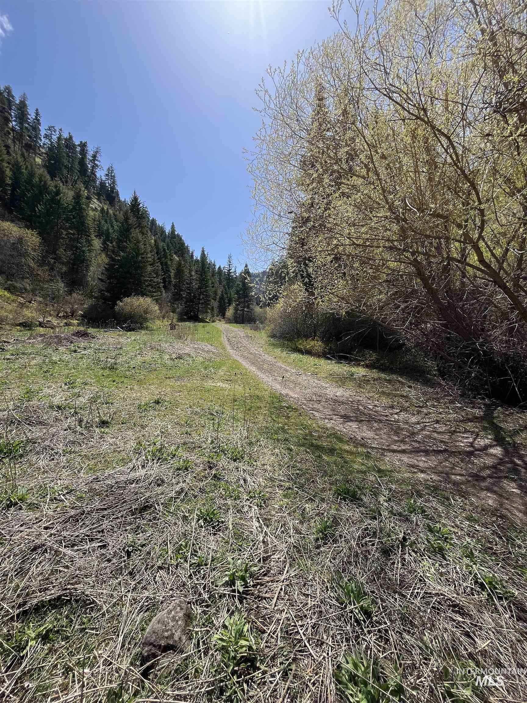 478 Deer Gulch Road Cottonwood, ID 83522 - Photo 31 of 50
