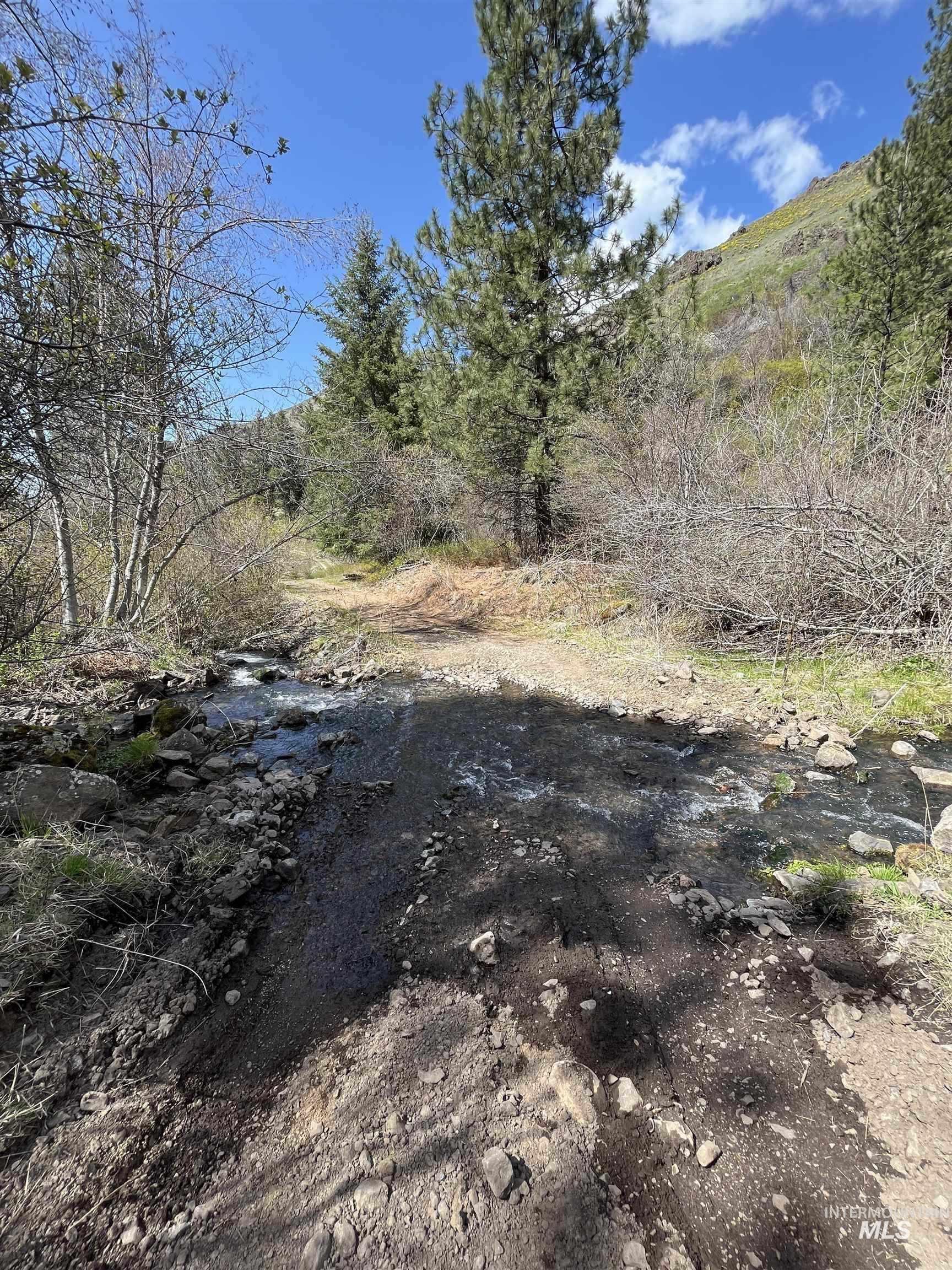 478 Deer Gulch Road Cottonwood, ID 83522 - Photo 32 of 50