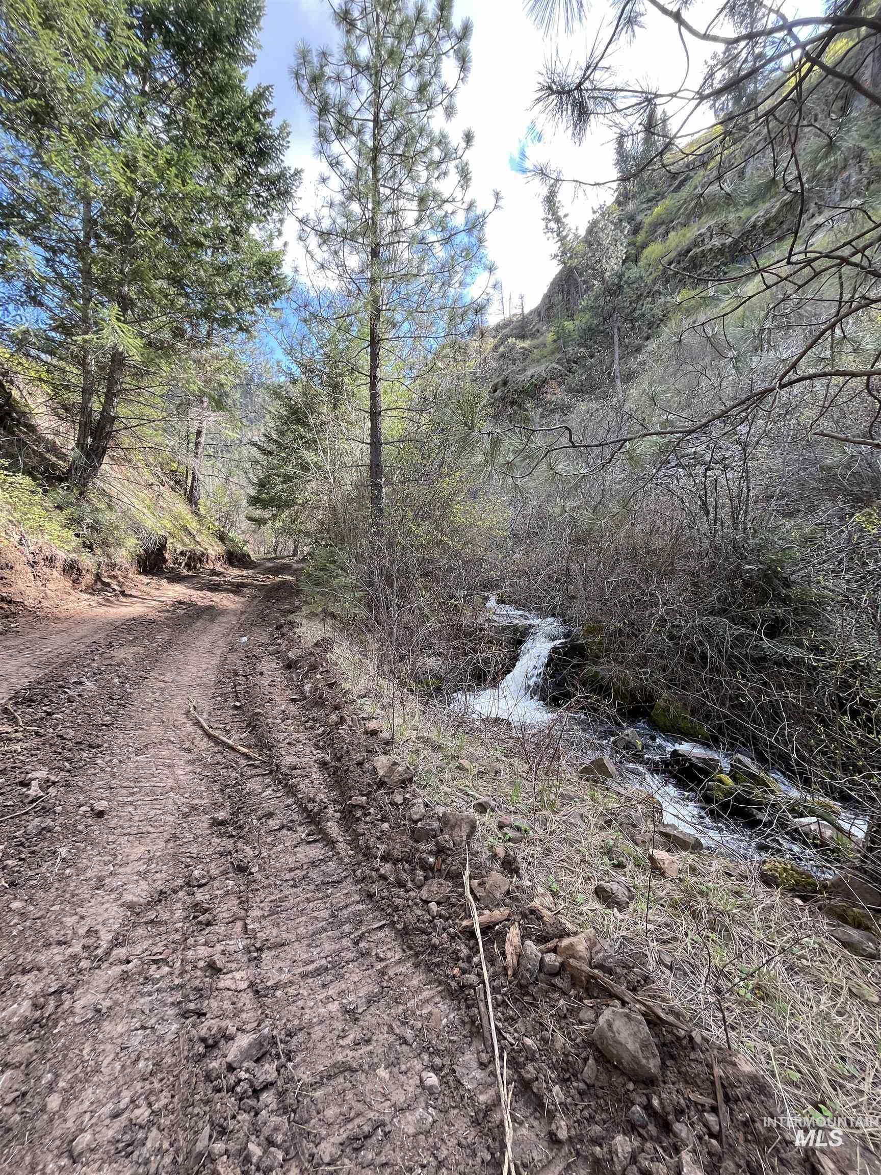 478 Deer Gulch Road Cottonwood, ID 83522 - Photo 45 of 50