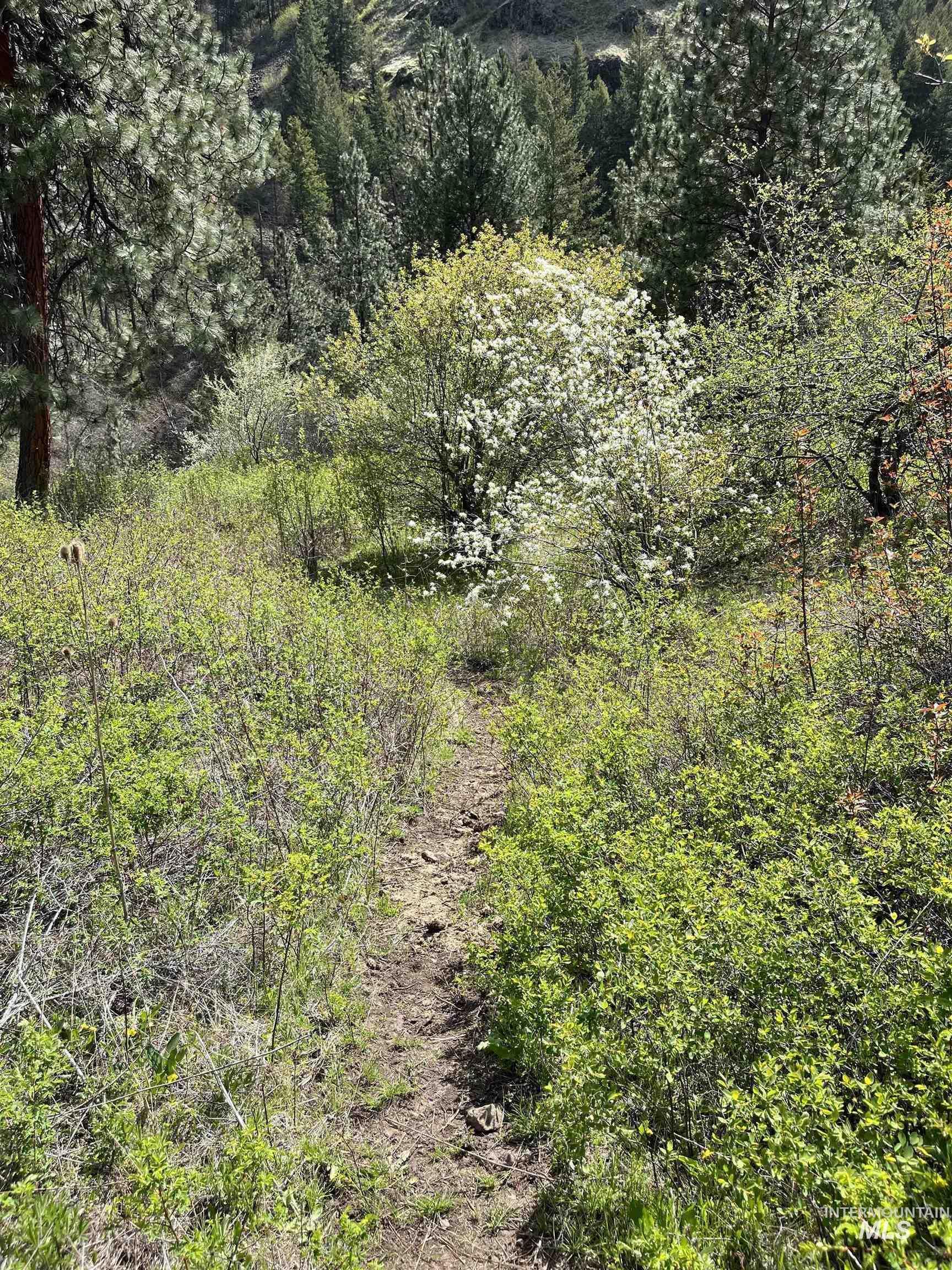 478 Deer Gulch Road Cottonwood, ID 83522 - Photo 47 of 50