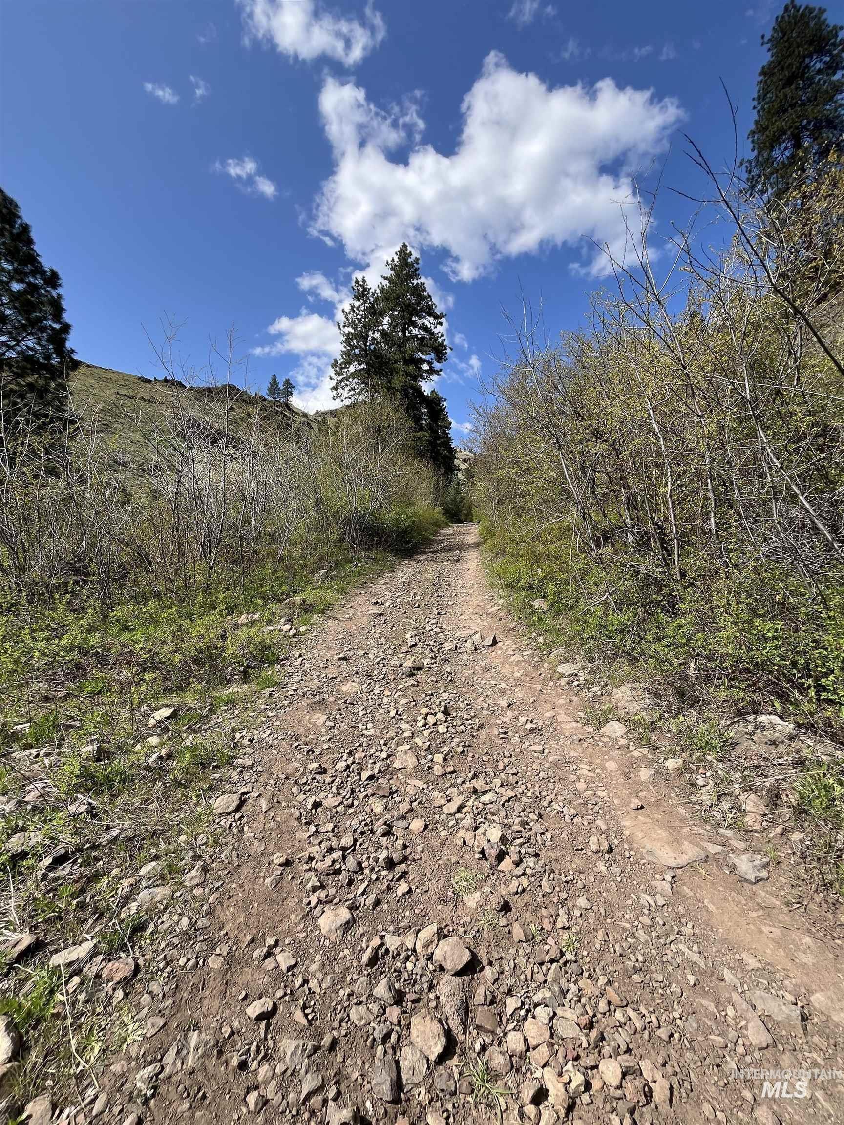 478 Deer Gulch Road Cottonwood, ID 83522 - Photo 48 of 50
