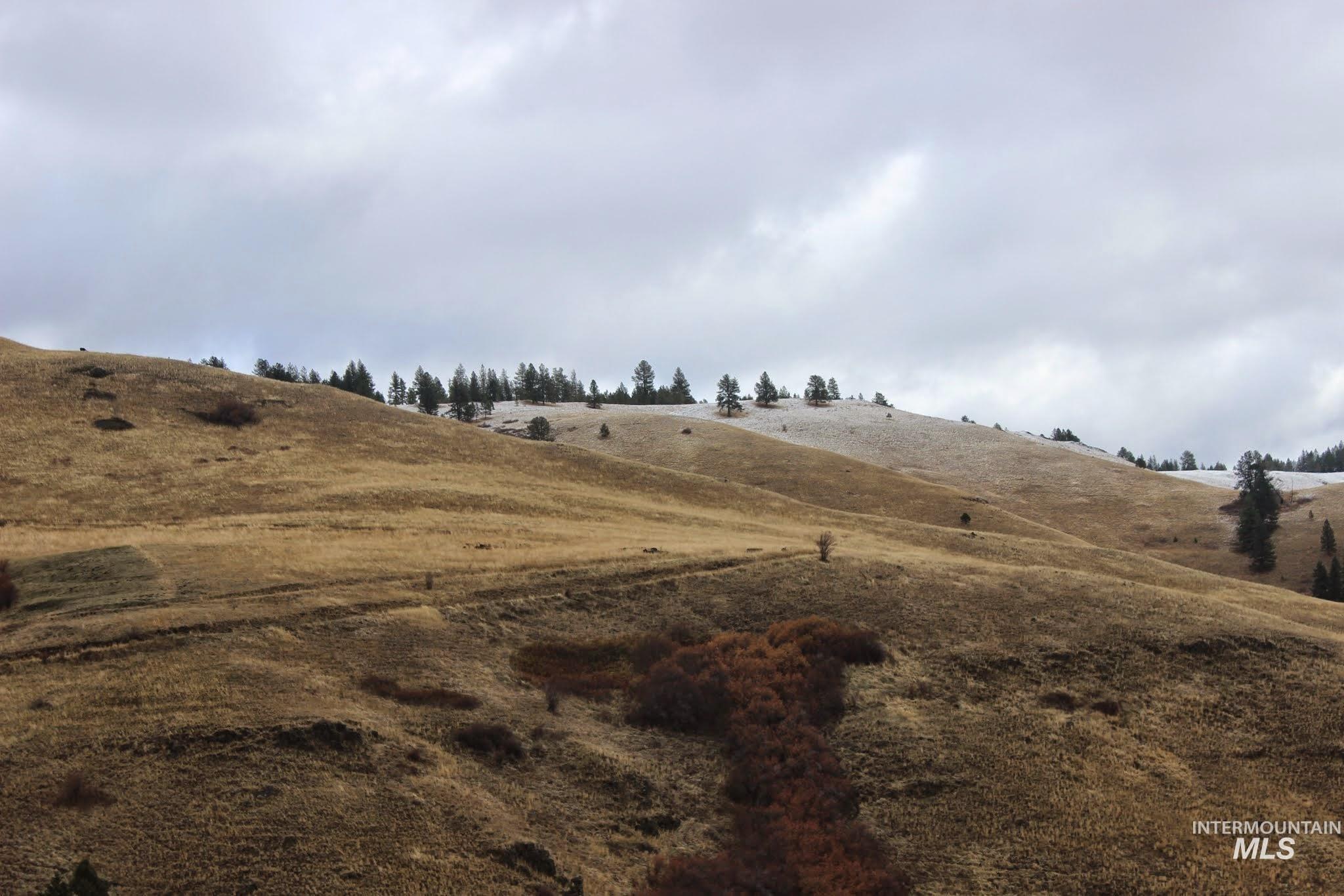 478 Deer Gulch Road Cottonwood, ID 83522 - Photo 5 of 50