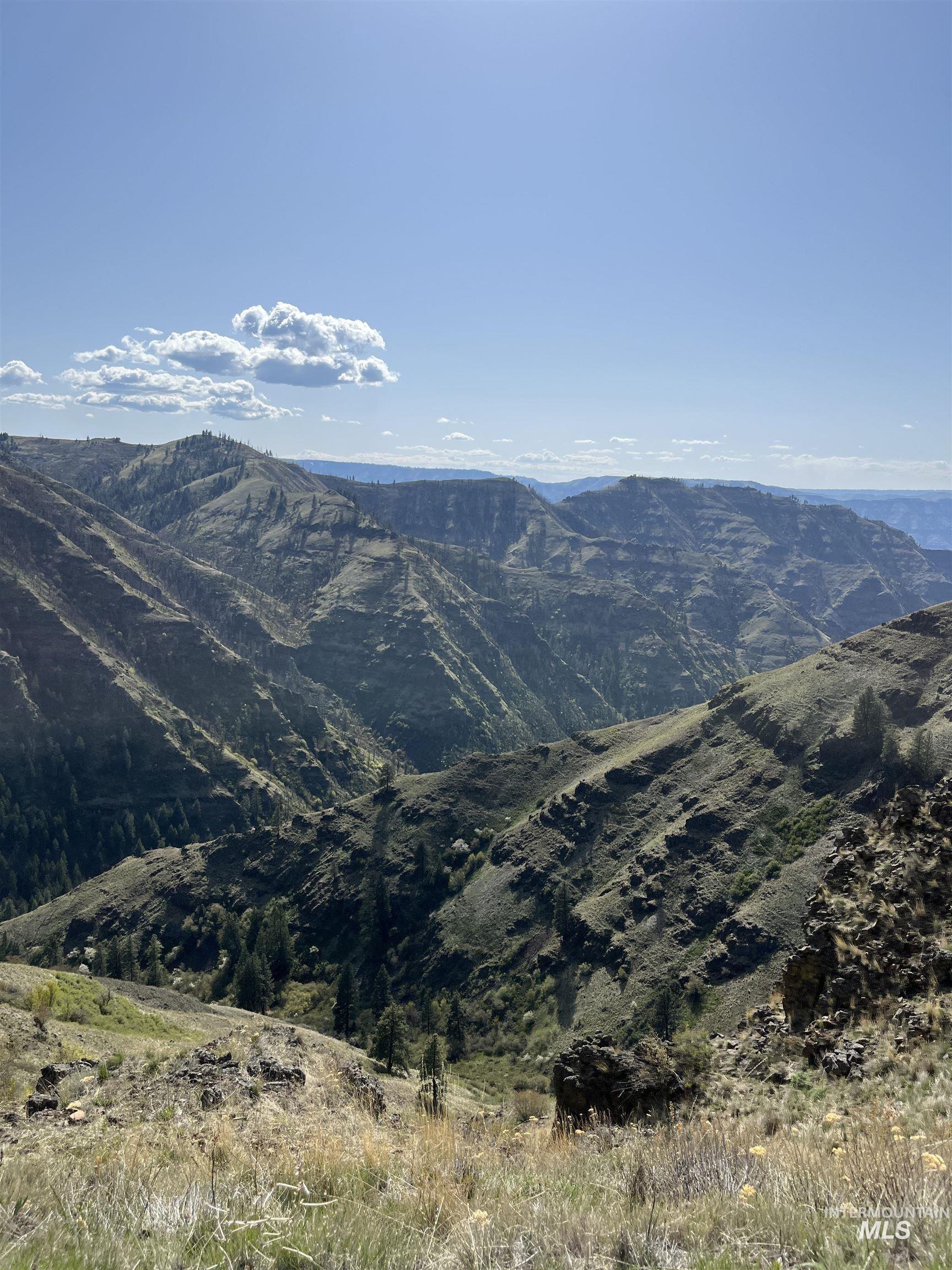 478 Deer Gulch Road Cottonwood, ID 83522 - Photo 8 of 50