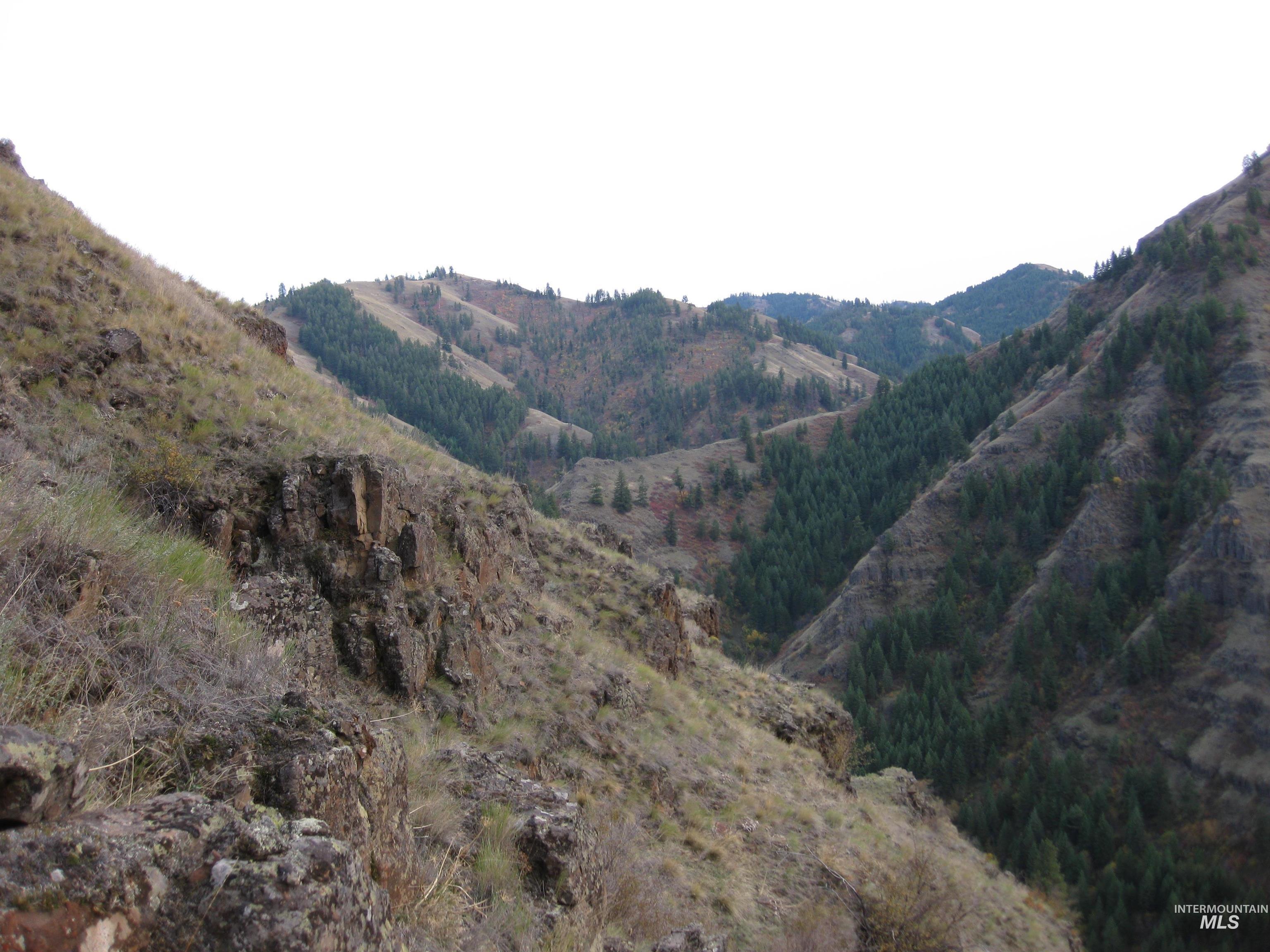 478 Deer Gulch Road Cottonwood, ID 83522 - Photo 9 of 50