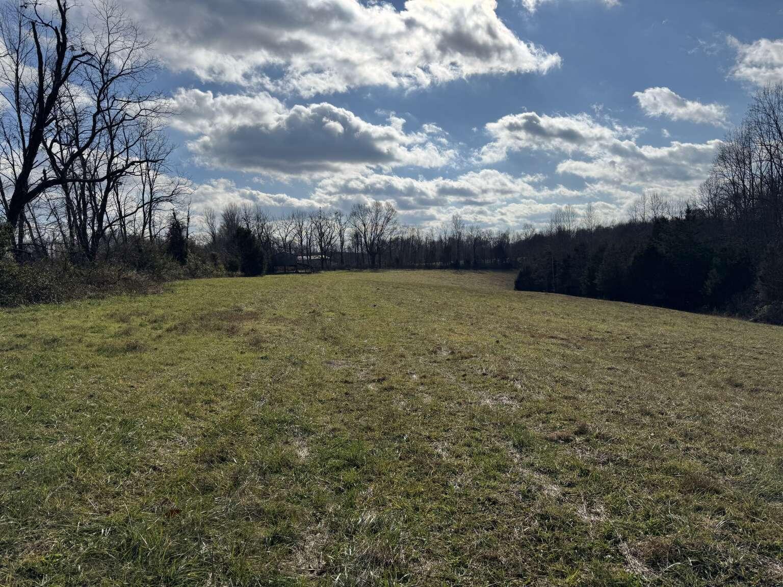 1111 Clear Branch Road Liberty, KY 42539 - Photo 3 of 33 Purvis.3