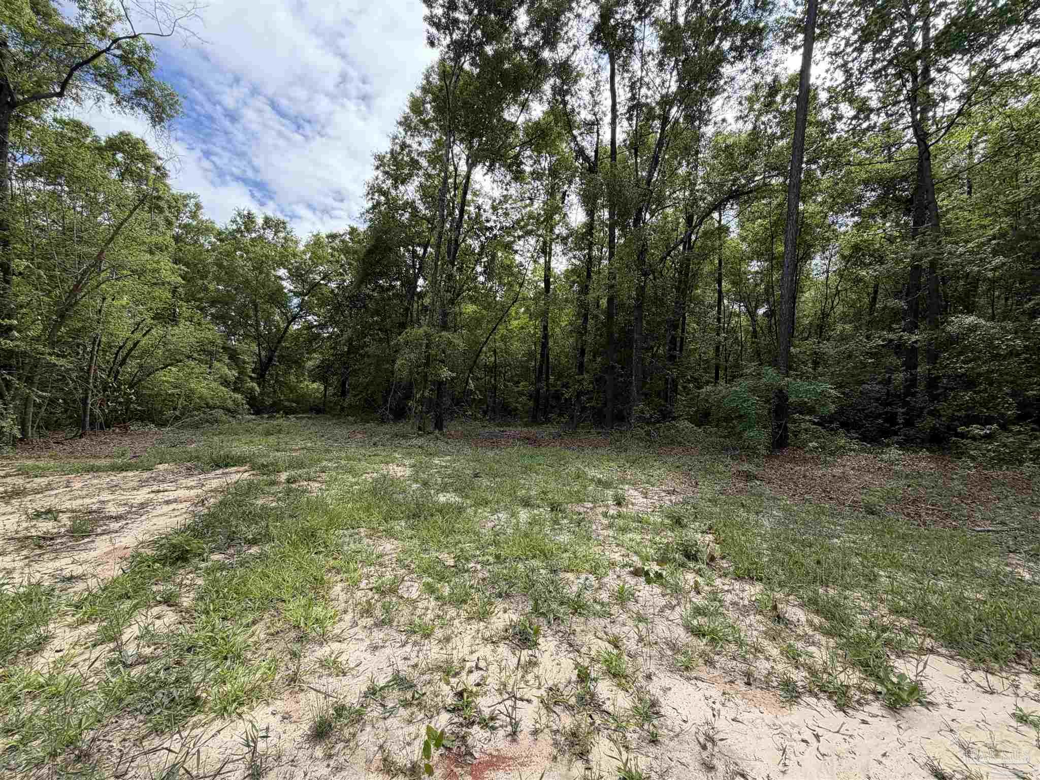 2653 Nelsontown Road Jay, FL 32565 - Photo 37 of 38