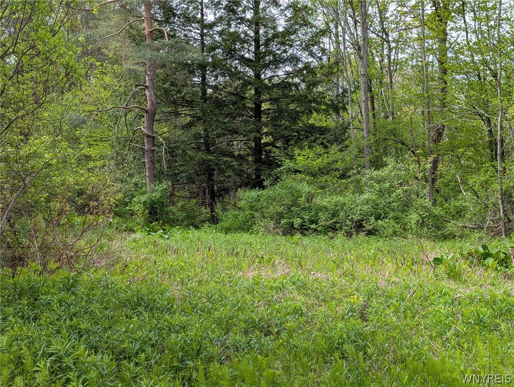 34 Treehaven Road Wethersfield, NY 14066 - Photo 7 of 7